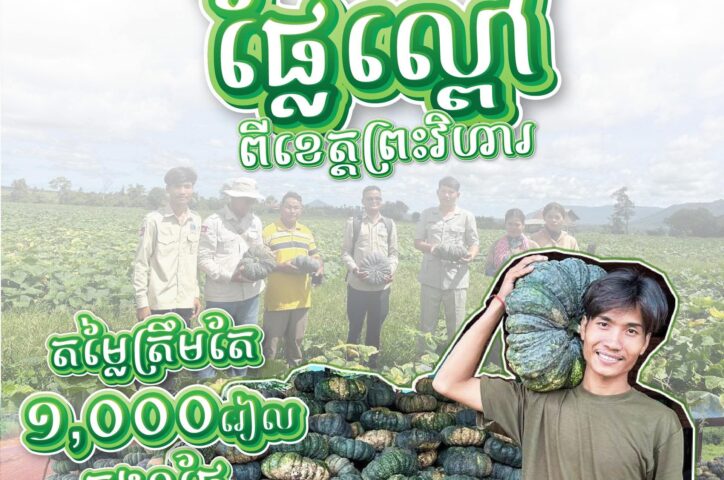 ផ្លែល្ពៅពីខេត្តព្រះវិហារនឹងមកដល់ផ្សារទំនើបអ៉ីអន នៅថ្ងៃទី ២០ខាងមុខនេះ!