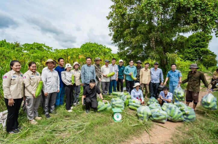 Fresh Papaya from Kandal Arrives at AEON Supermarket on June 26